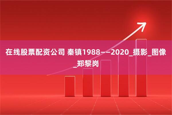 在线股票配资公司 秦镇1988——2020_摄影_图像_郑黎岗